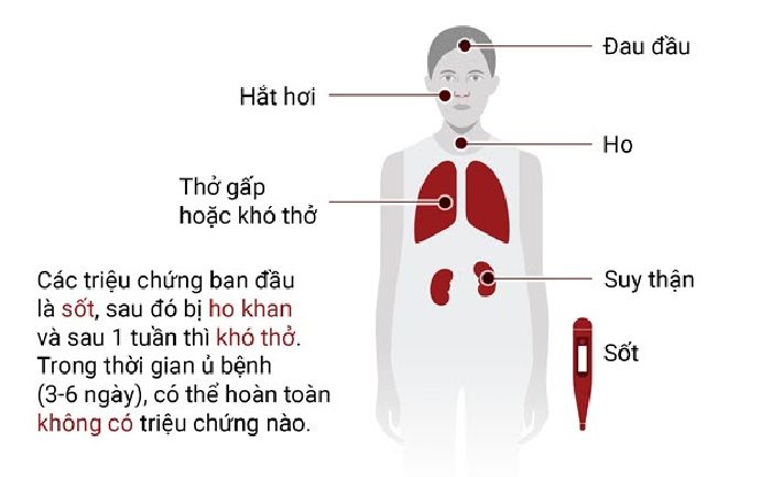 Biểu hiện nhiễm virus corona