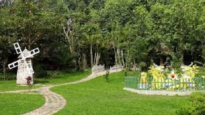 Đồi 79