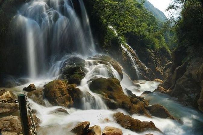 ĐỘNG CỐC SAN