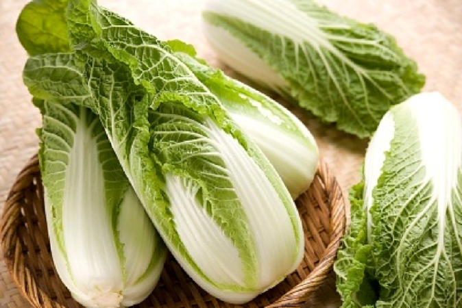 Cải thảo chữa sốt