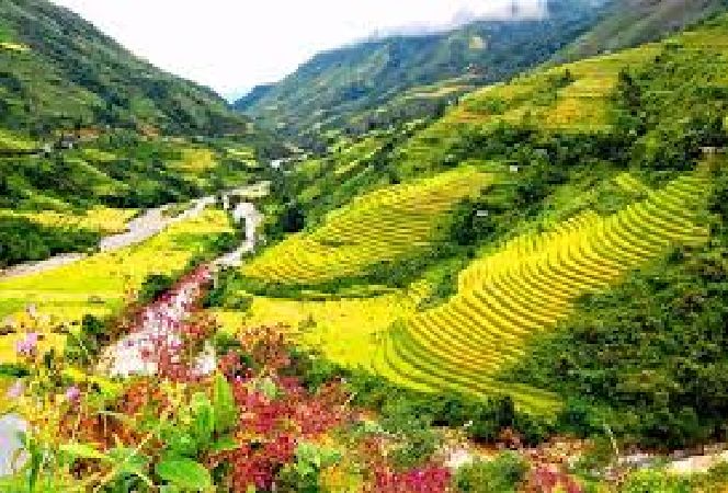 THUNG LŨNG MƯỜNG HOA