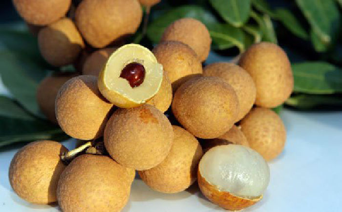 Tăng cường hệ miễn dịch