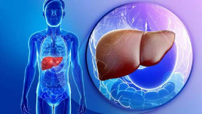 Đào thải độc tố bên trong cơ thể