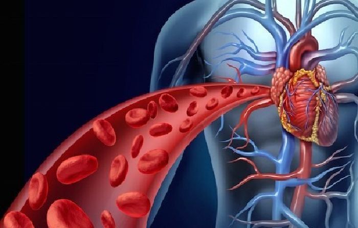 Cải thiện tuần hoàn máu