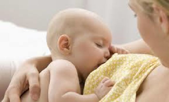 Giúp lợi sữa