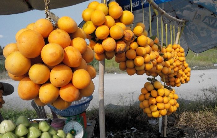 Kích thích hệ tiêu hóa