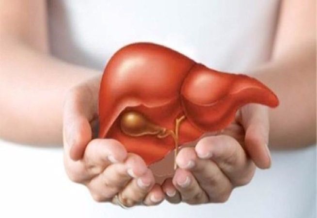 Bảo vệ gan, tăng cường chức năng gan