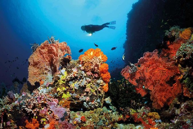 Rạn san hô Great Barrier
