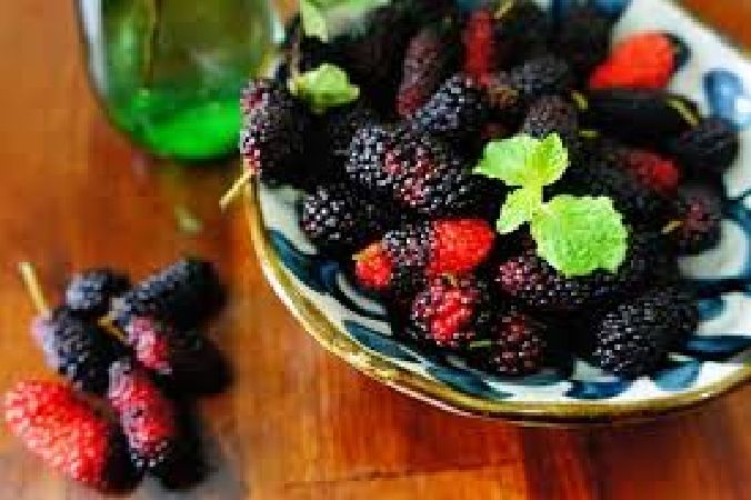 Lợi ích của dâu tằm đối với sức khỏe tim mạch