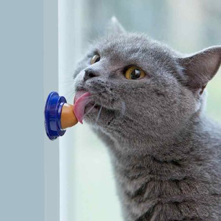 Kẹo liếm dinh dưỡng gắn tường cho mèo