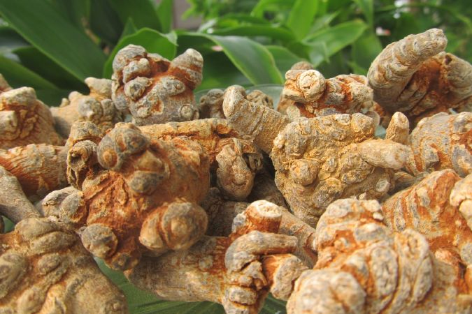Cung cấp nhiều giá trị dinh dưỡng cho cơ thể