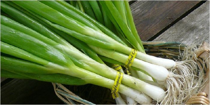 Hành lá tăng cường hệ thống miễn dịch