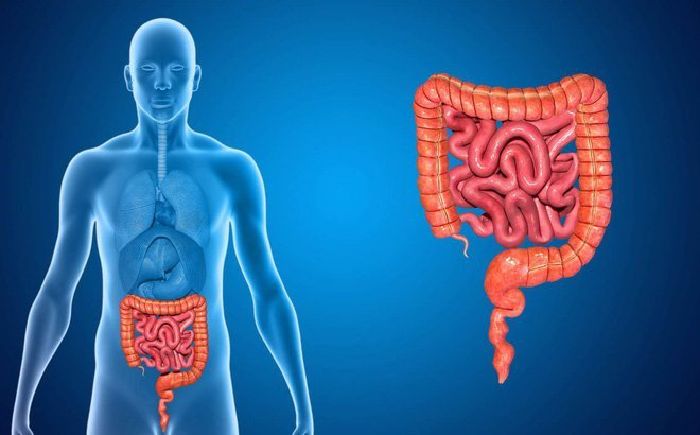 Bảo vệ chức năng đường tiêu hóa