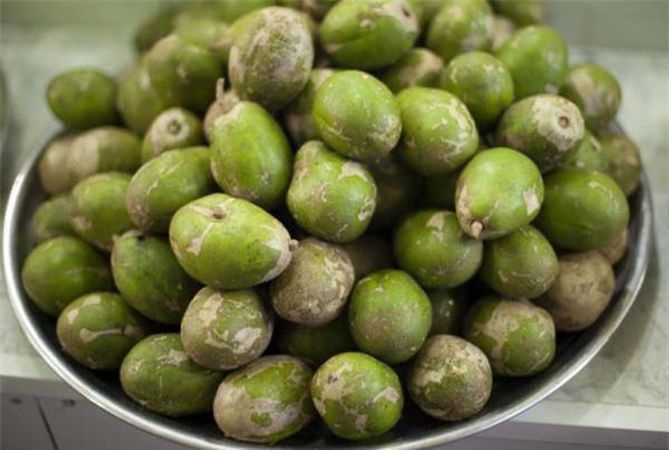 Duy trì tốt hệ thống miễn dịch