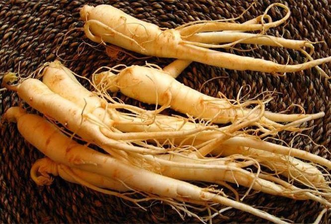 Top 10 tác dụng phụ khi sử dụng nhân sâm không đúng cách