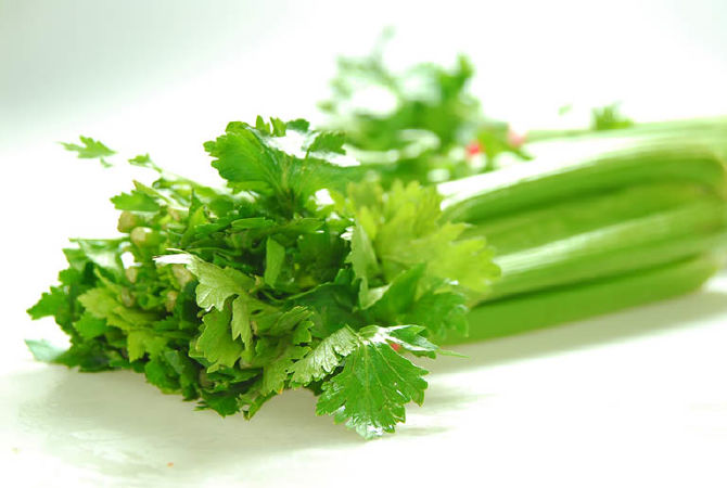 Nâng cao độ chắc khỏe cho xương và răng