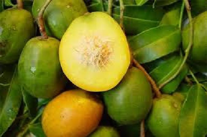 Tốt cho người tiểu đường