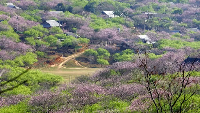 Bản Lóong Luông
