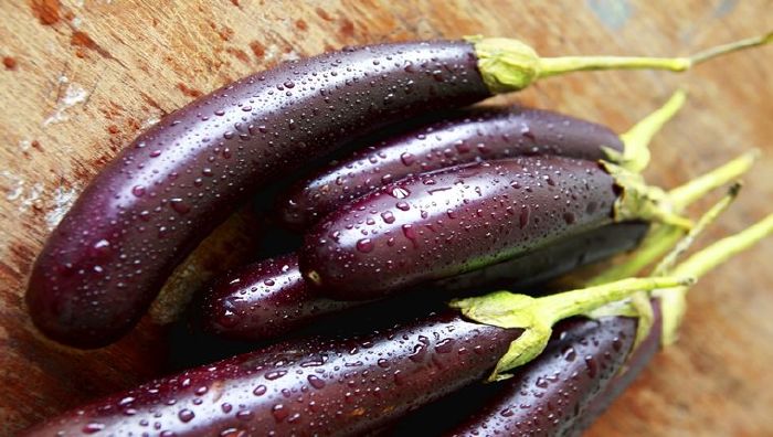 Giúp Bỏ Thuốc Lá