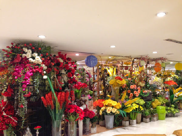 Shop Hoa Bốn Mùa