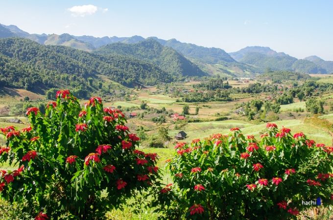 Thái Hưng, xã Mường Sang