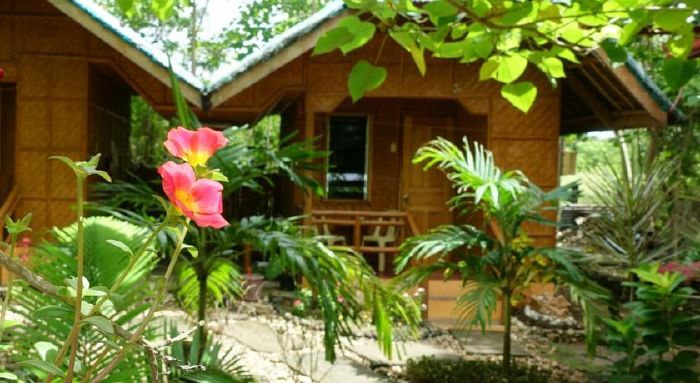 The Palm Tree Guest House