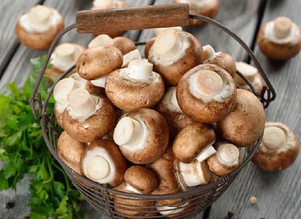 Top 11 thực phẩm tốt cho người bị mỡ máu cao