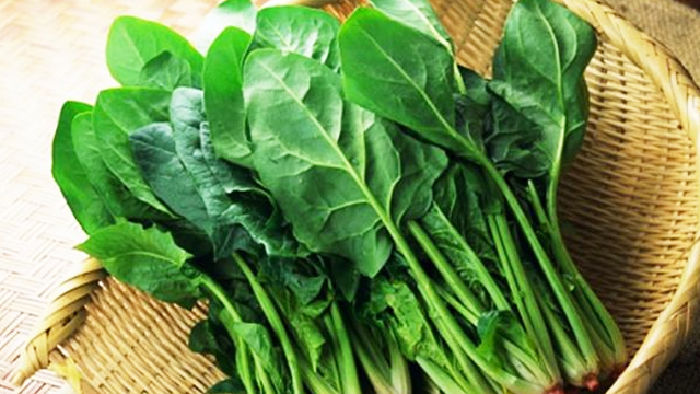 Rau chân vịt (rau bina)