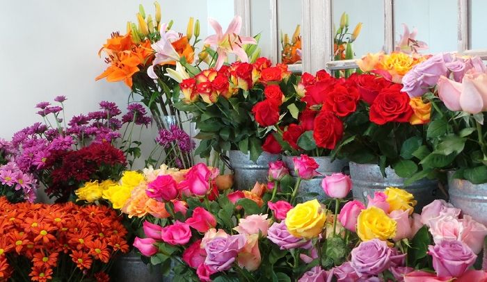 Shop hoa Ly’s Giang’s Flower