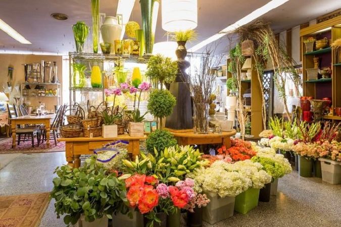 Shop Thanh Thúy
