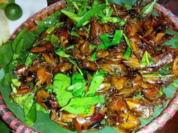 Bọ xít rang lá chanh