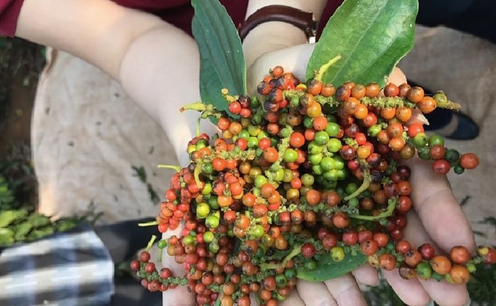 Chống trầm cảm