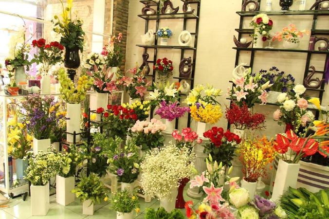 Shop Lan Hồ Điệp Hà Tình