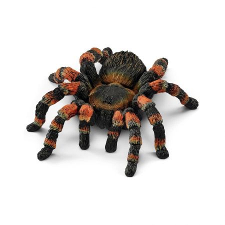NhệnTarantula
