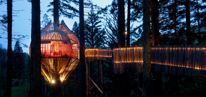 Gỗ Redwoods: New Zealand