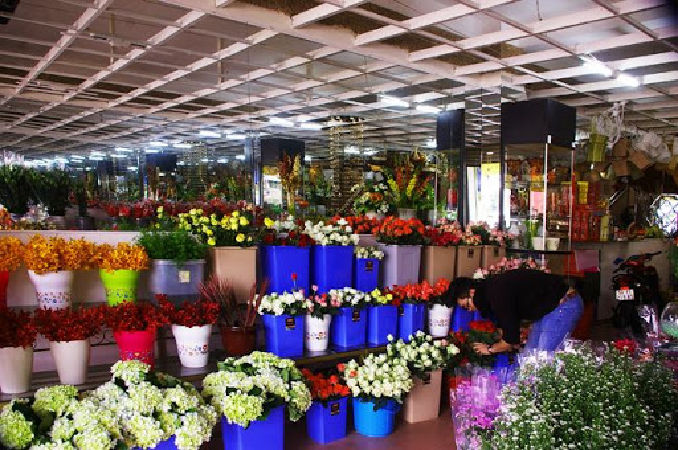 Shop hoa tươi 360