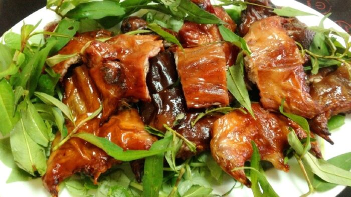Chuột đồng, chuột cống nhum Cao Lãnh