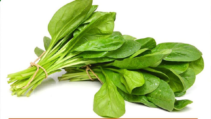 Rau Chân Vịt