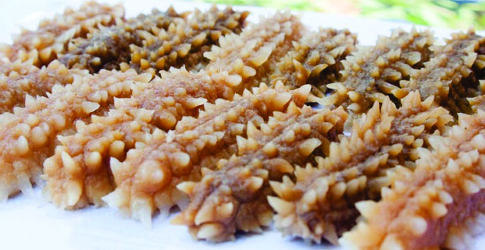 Thận hư do đau lưng