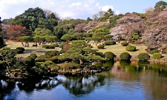 Công viên Quốc gia Shinjuku Gyoen (Tokyo):