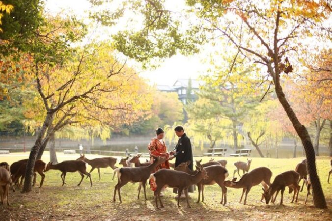 Công viên Nara (Nara):