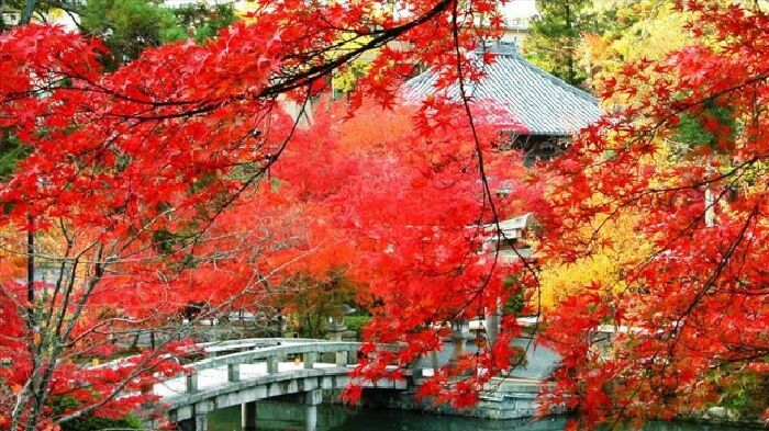 Chùa Eikando Zenrinji (Kyoto):