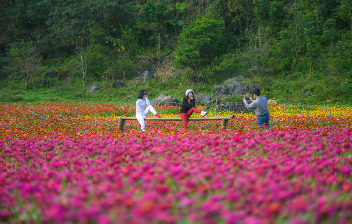 Vườn hoa Lũng