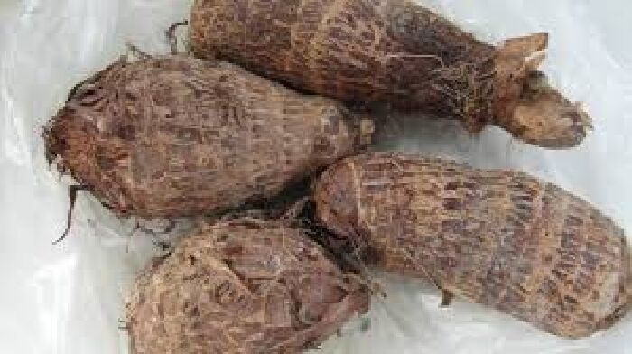 Khoai Sọ Mán