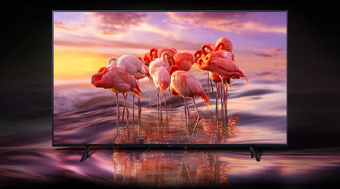 Smart Tivi QLED Samsung 4K 49 inch QA49Q65R