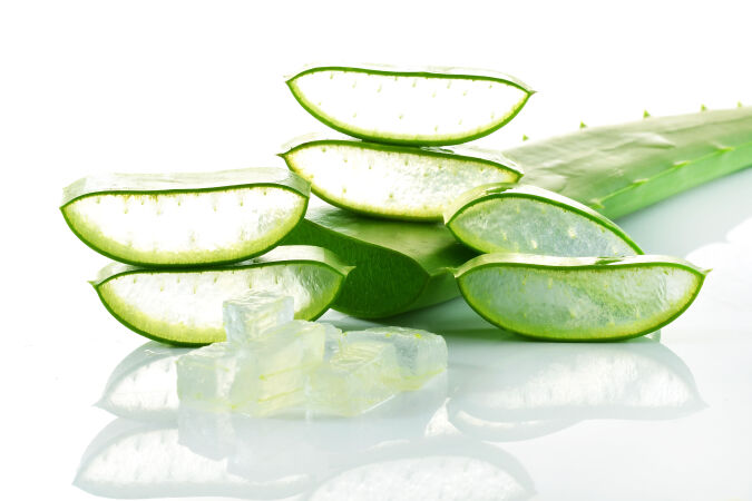 Gel lô hội, nha đam