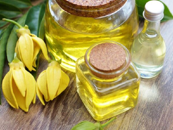 Top 10 công dụng của tinh dầu ngọc lan tây
