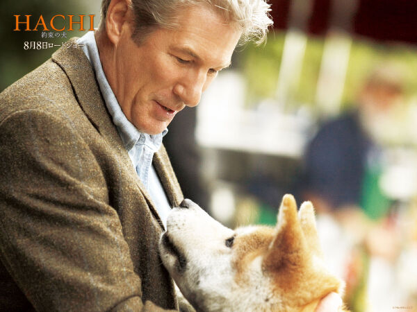 Hachiko Chú chó trung thành (2010)