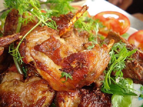 CHUỘT KHÌA NƯỚC DỪA