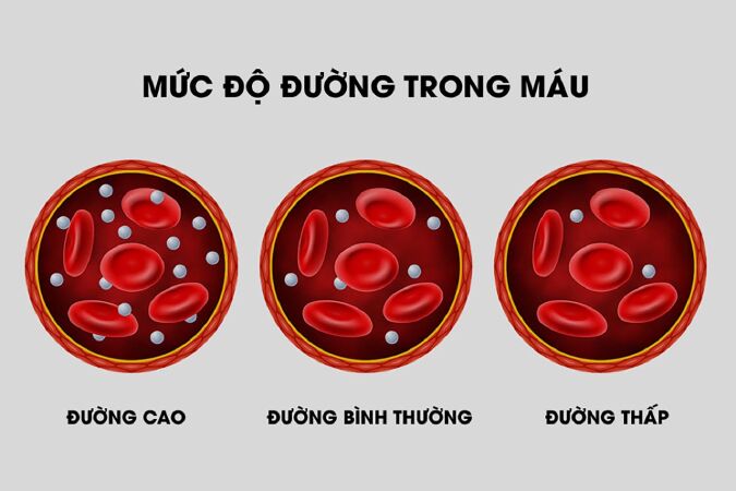 Đường trong máu